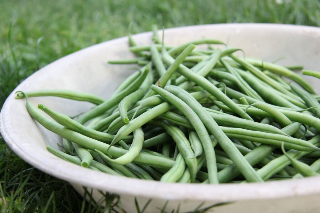 Air fryer green beans for one ingredient inspiration: fresh raw green beans in a bowl before cooking.