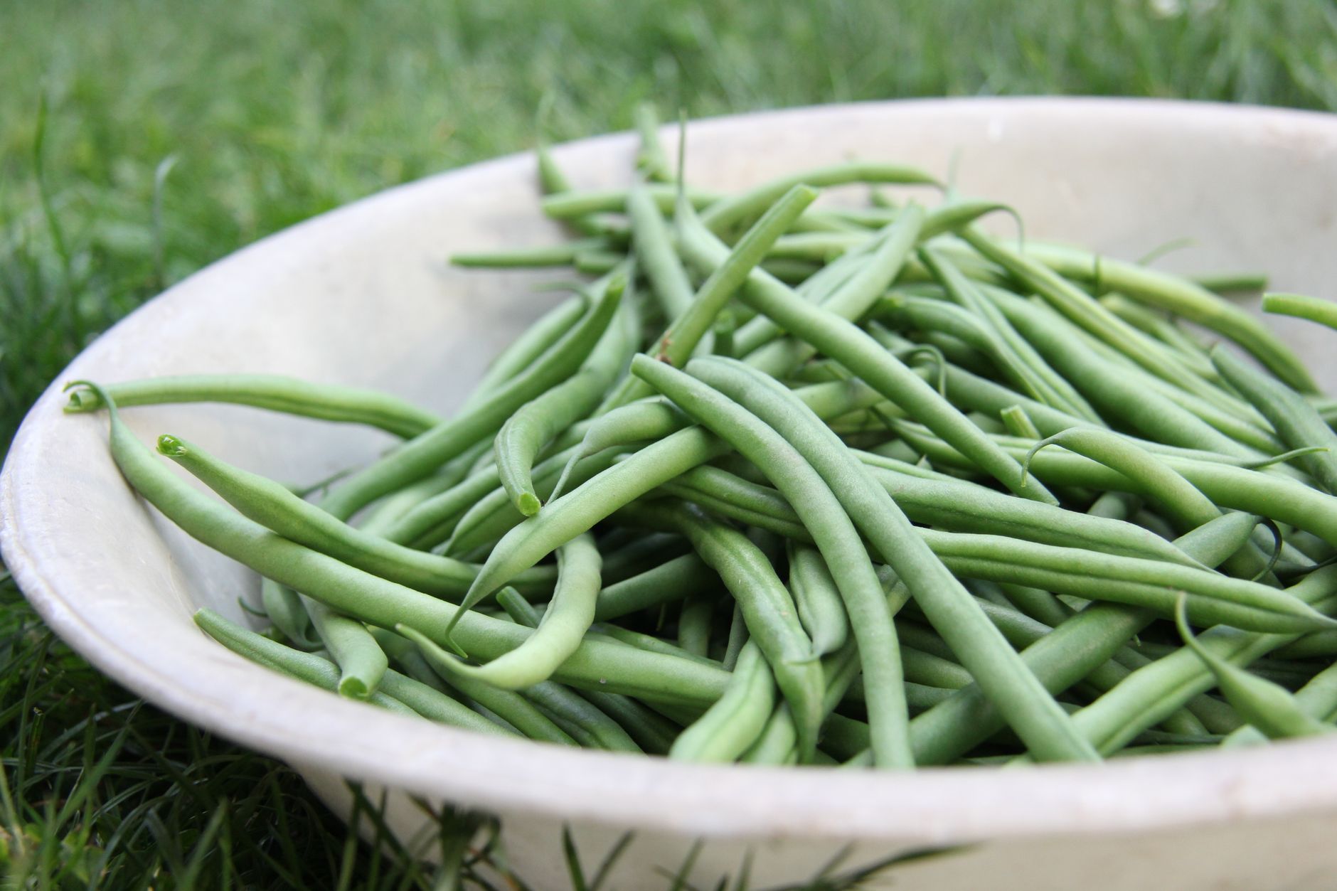 Air fryer green beans for one ingredient inspiration: fresh raw green beans in a bowl before cooking.